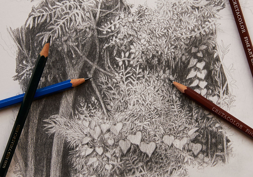Lápices sobre un dibujo realista de plantas